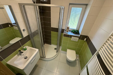 Prodej RD 5+1 s garáží a pozemkem o výměře 1050 m2 ve Vejprnicích u Plzně